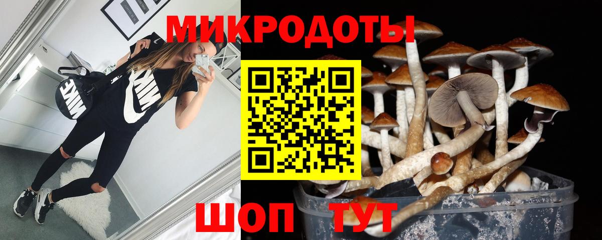 Псилоцибиновые грибы Psilocybe  купить наркотики цена  Людиново  Вход с VPN 